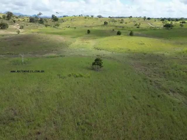 Fazenda venda em Região Geográfica Imediata de Ilhéus – Itabuna, Itabuna