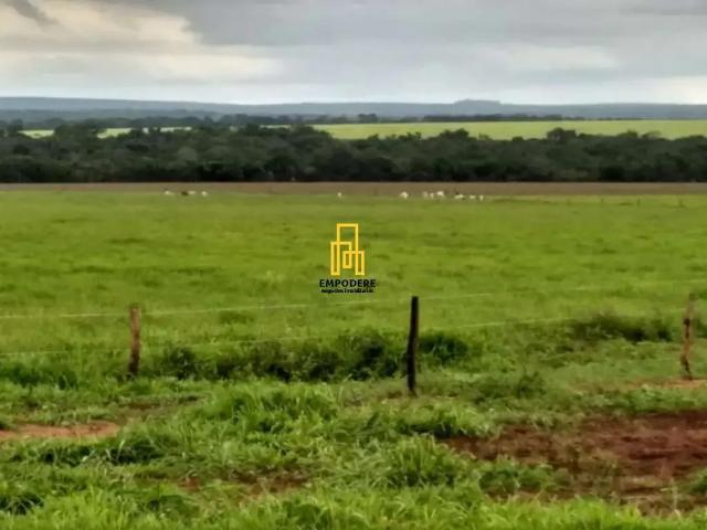Fazenda venda em Itacajá, Região Norte