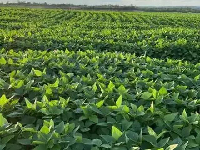 Fazenda venda em Itacajá, Região Norte