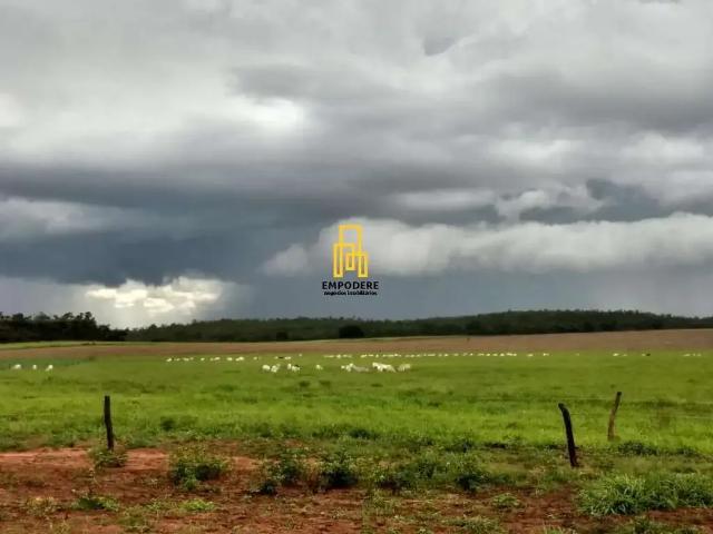 Fazenda venda em Itacajá, Região Norte