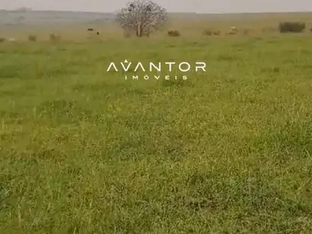 Fazenda venda em Itacurubi, Região Sul