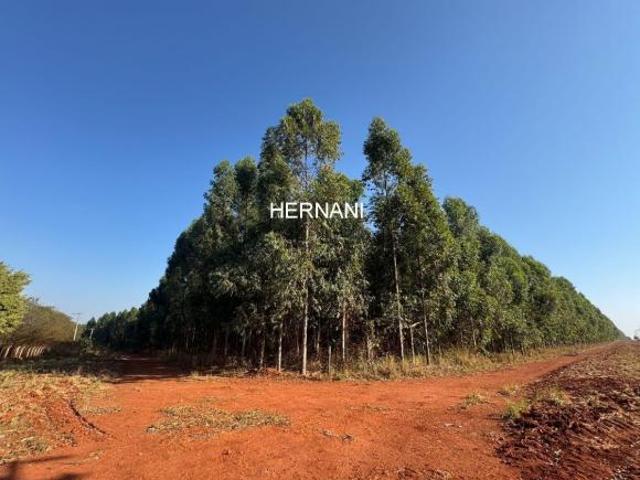 Sítio e chácara venda em Região Imediata de Sorocaba, Região Metropolitana de Sorocaba