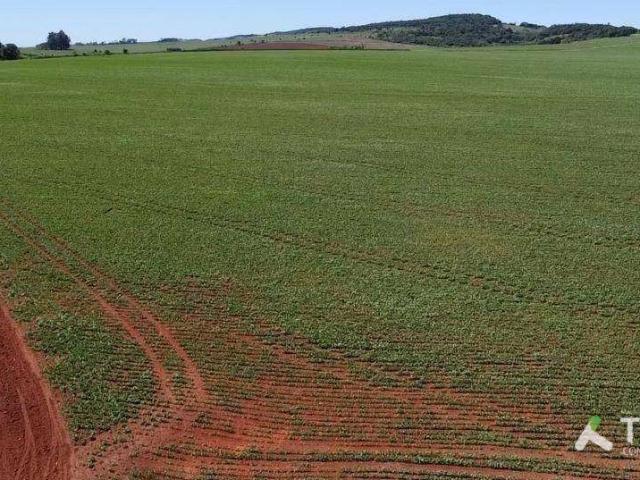 Fazenda venda em Região Imediata de Avaré, Itaí