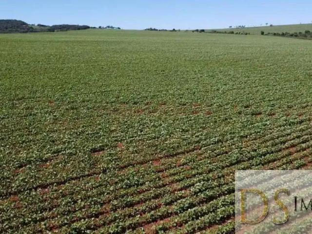 Fazenda venda em Região Imediata de Avaré, Itaí