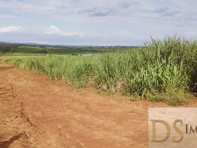 Fazenda venda em Região Imediata de São José do Rio Preto, Região Metropolitana de São José do Rio Preto