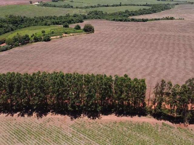 Fazenda venda em Região Geográfica Imediata de Ponta Grossa, São João do Triunfo