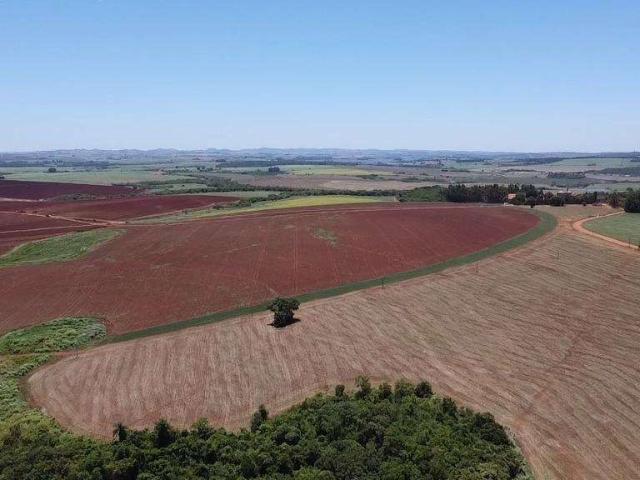 Fazenda venda em Região Geográfica Imediata de Ponta Grossa, São João do Triunfo