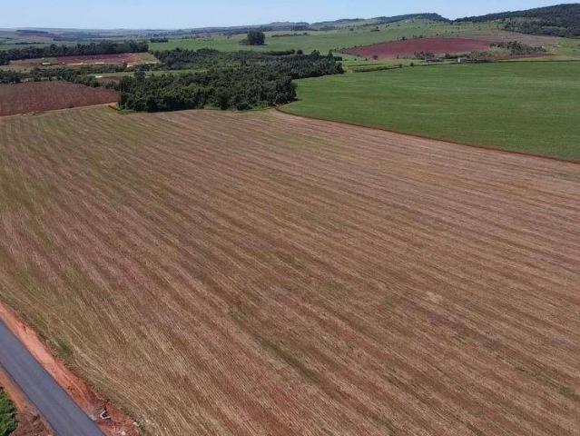 Fazenda venda em Região Geográfica Imediata de Ponta Grossa, São João do Triunfo