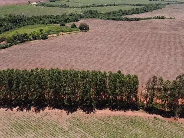 Fazenda venda em Região Imediata de Avaré, Itaí