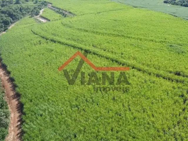 Fazenda venda em Região Imediata de Avaré, Itaí