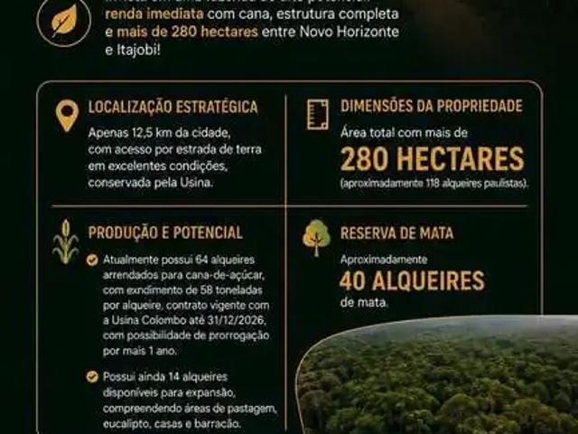 Fazenda venda em Região Imediata de Catanduva, Itajobi