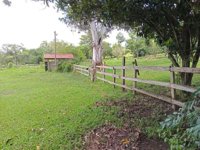Fazenda venda em Região Geográfica Imediata de Itajubá, Itajubá