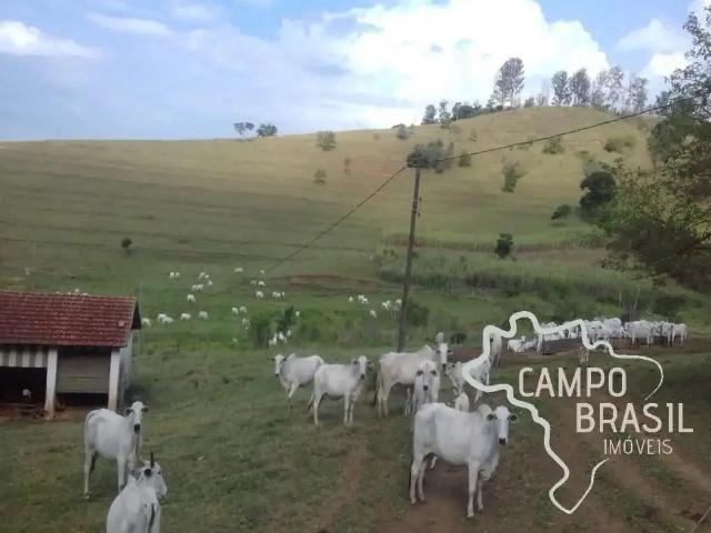 Fazenda venda em Região Geográfica Imediata de Belo Horizonte, Região Metropolitana de Belo Horizonte