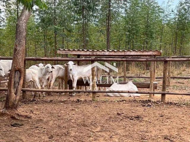 Fazenda venda em Região Geográfica Imediata de Itajubá, Itajubá
