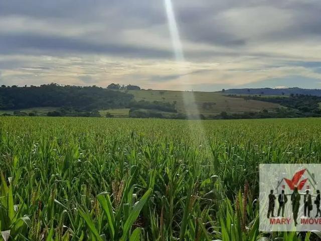 Fazenda venda em Região Geográfica Imediata de São Sebastião do Paraíso, Itamogi
