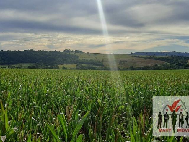 Fazenda venda em Itamogi, Região Geográfica Intermediária de Varginha