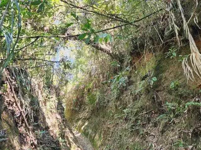 Fazenda venda em Região Geográfica Imediata de São Lourenço, Itamonte