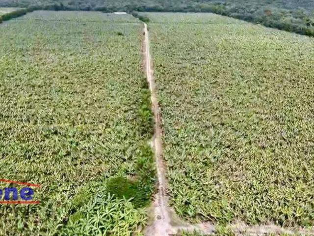Fazenda venda em Região Imediata de Santos, Região Metropolitana da Baixada Santista