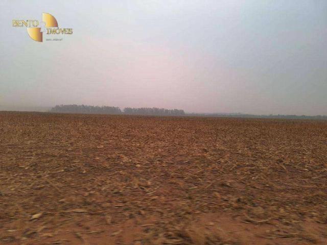 Fazenda venda em Itanhangá, Região Geográfica Intermediária de Sinop