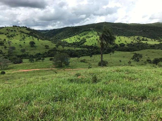 Fazenda venda em Itapaci, Região Geográfica Intermediária de Porangatu-Uruaçu