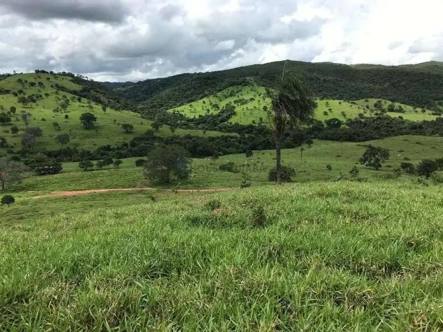 Fazenda venda em Região Geográfica Imediata de Ceres - Rialma - Goianésia, Itapaci