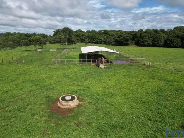 Fazenda venda em Região Geográfica Imediata de Ceres - Rialma - Goianésia, Itapaci