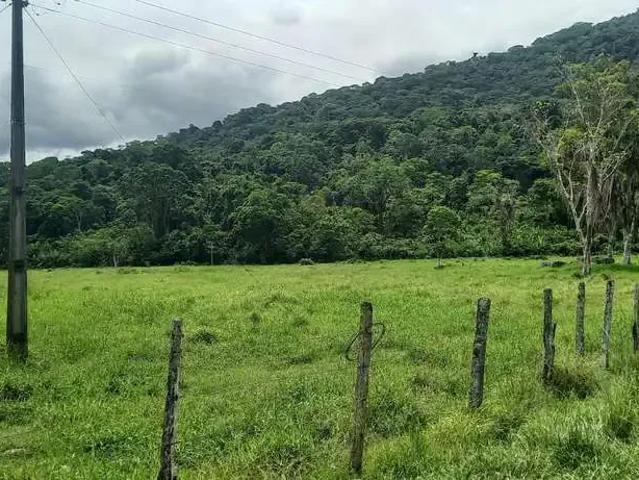 Fazenda venda em Região Geográfica Imediata de Ilhéus – Itabuna, Itapé