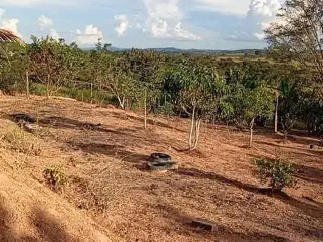 Fazenda venda em Região Geográfica Imediata de Divinópolis, Itapecerica