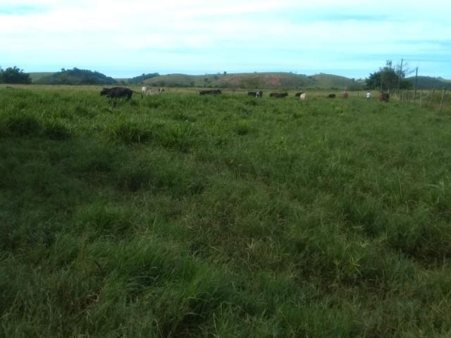 Fazenda venda em Itapemirim, Região Geográfica Intermediária de Cachoeiro de Itapemirim