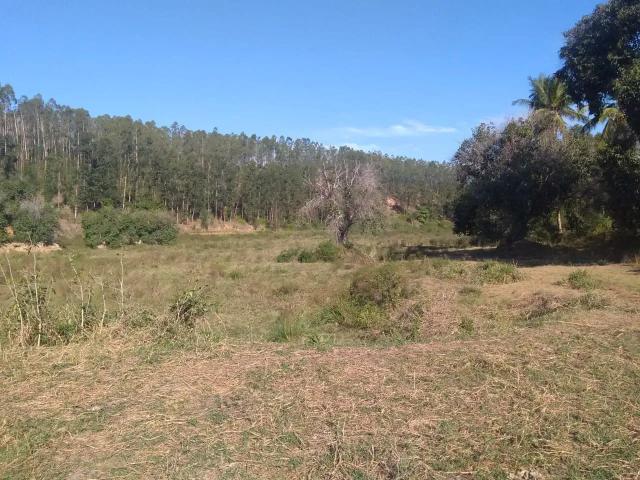 Fazenda venda em Região Geográfica Imediata de Cachoeiro de Itapemirim, Itapemirim