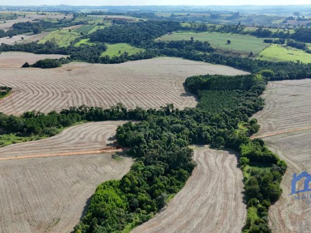 Fazenda venda em Itapetininga, Região Geográfica Intermediária de Sorocaba