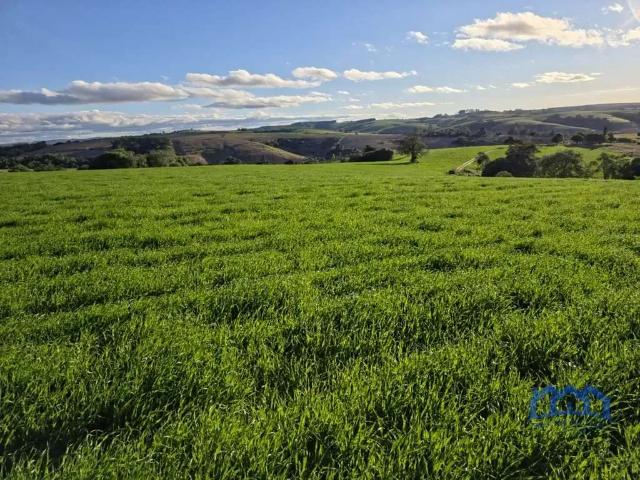 Fazenda venda em Região Imediata de Itapetininga, Região Metropolitana de Sorocaba
