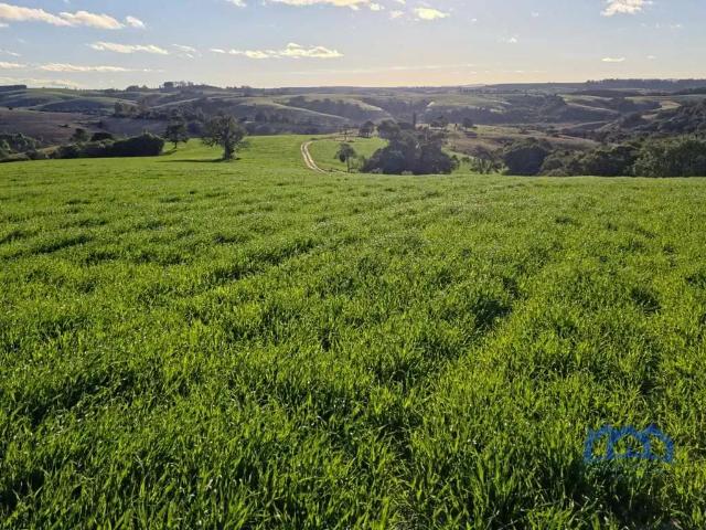 Fazenda venda em Região Imediata de Itapetininga, Região Metropolitana de Sorocaba