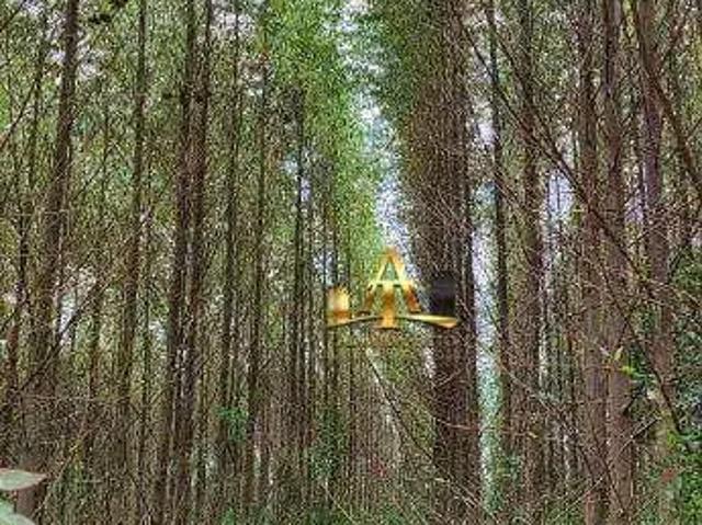 Fazenda venda em Região Imediata de Itapetininga, Região Metropolitana de Sorocaba
