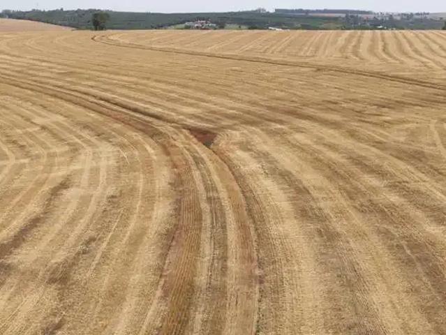 Fazenda venda em Região Imediata de Itapetininga, Região Metropolitana de Sorocaba
