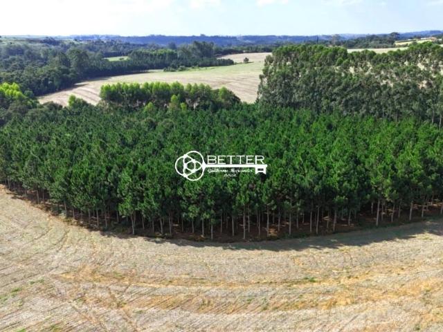Fazenda venda em Itapetininga, Região Geográfica Intermediária de Sorocaba