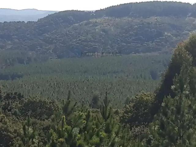Fazenda venda em Região Imediata de Itapetininga, Região Metropolitana de Sorocaba
