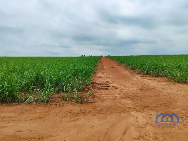 Fazenda venda em Região Imediata de Itapetininga, Região Metropolitana de Sorocaba