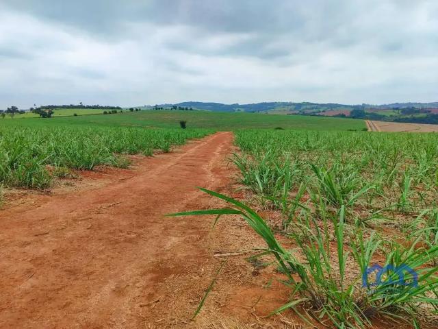 Fazenda venda em Região Imediata de Itapetininga, Região Metropolitana de Sorocaba