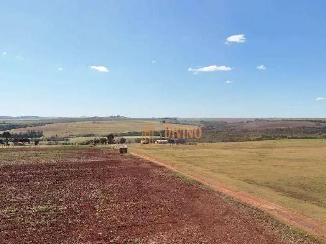 Fazenda venda em Região Imediata de Itapetininga, Região Metropolitana de Sorocaba