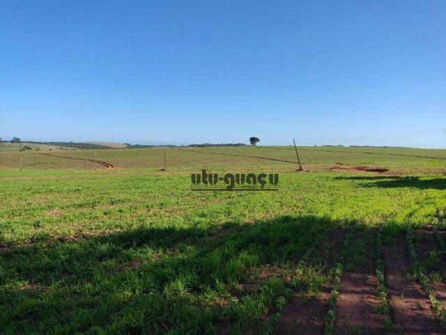 Fazenda venda em Região Imediata de Itapetininga, Região Metropolitana de Sorocaba