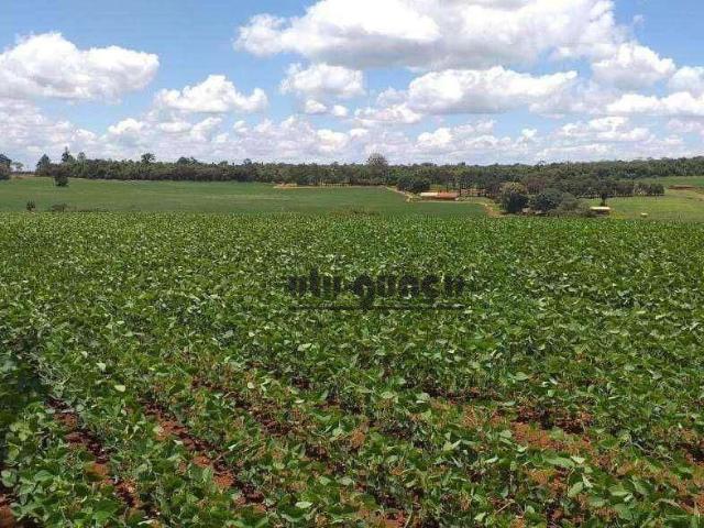 Fazenda venda em Itapetininga