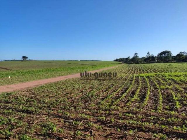 Fazenda venda em Região Imediata de Itapetininga, Região Metropolitana de Sorocaba