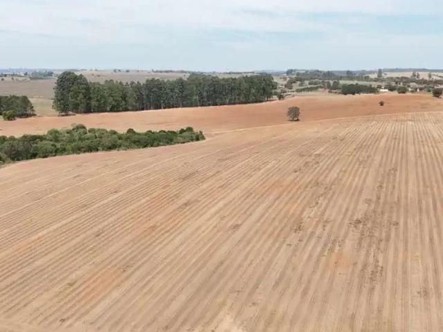 Fazenda venda em Região Imediata de Itapetininga, Região Metropolitana de Sorocaba