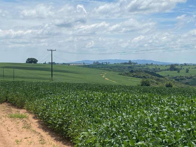 Fazenda venda em Região Imediata de Itapetininga, Região Metropolitana de Sorocaba