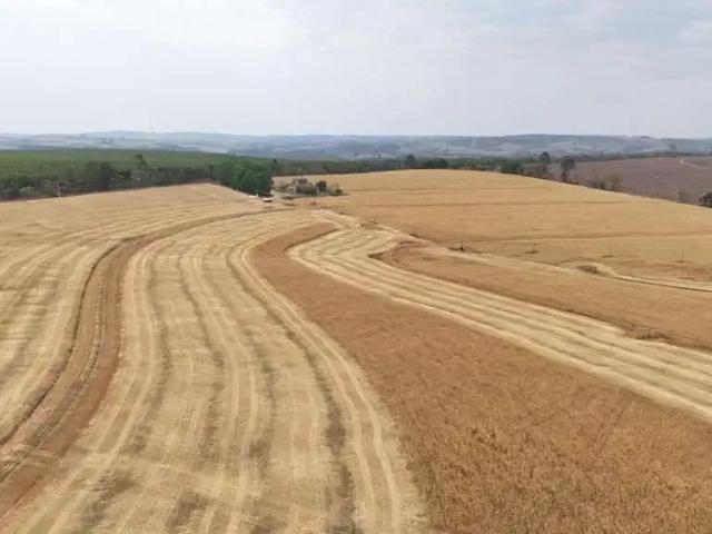 Fazenda venda em Região Imediata de Itapetininga, Região Metropolitana de Sorocaba