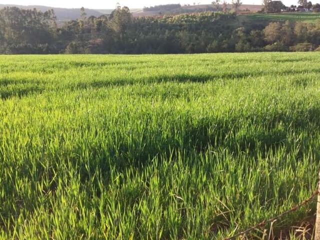 Fazenda venda em Região Imediata de Itapetininga, Região Metropolitana de Sorocaba