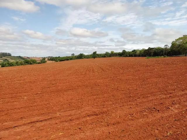 Fazenda venda em Região Imediata de Itapetininga, Região Metropolitana de Sorocaba