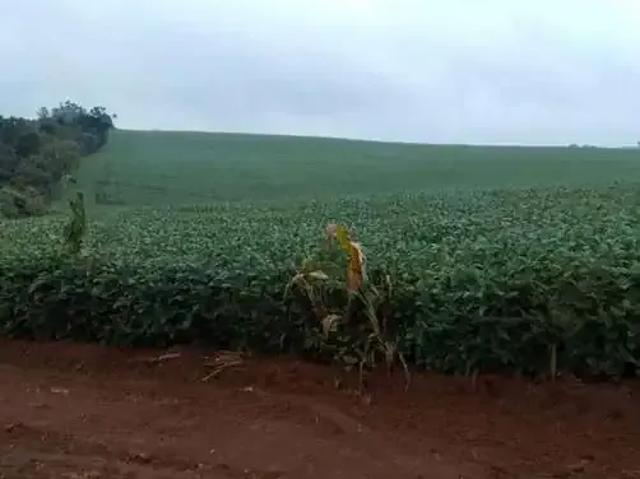Fazenda venda em Região Imediata de Itapetininga, Região Metropolitana de Sorocaba