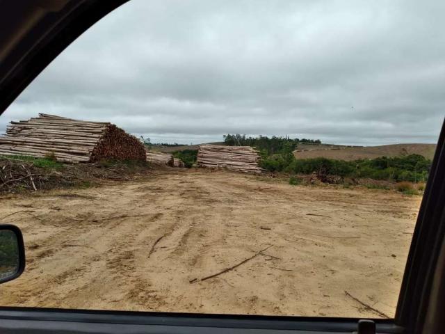 Fazenda venda em Região Imediata de Itapetininga, Região Metropolitana de Sorocaba
